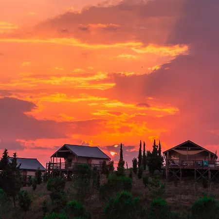 Hotel Glamping Diacceroni